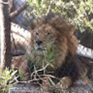 Meet your Posher, Randi